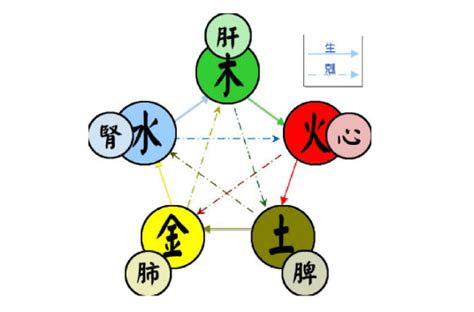 五行元素|五行（对万事万物的取象比类）